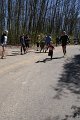 Hyacintenjogging 2013 - 36